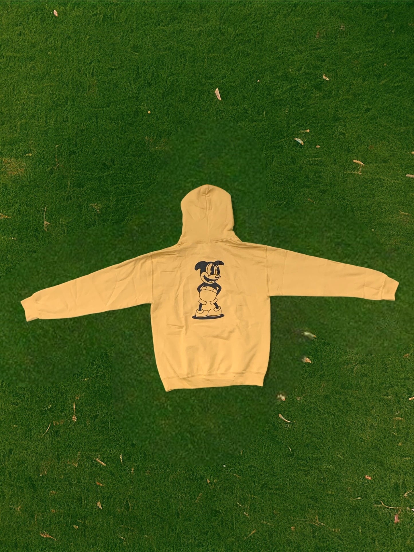 Mr. Fun Hoodie